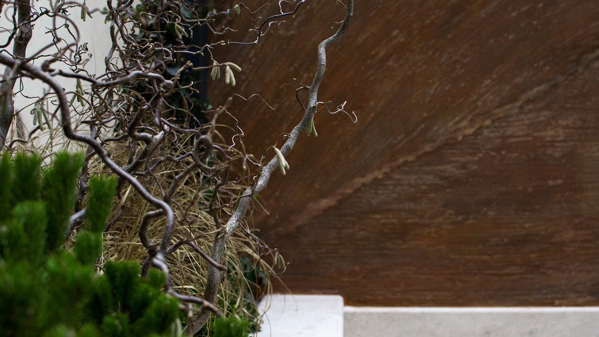 Perete decorativ cu finisaj texturat și vegetație structurală