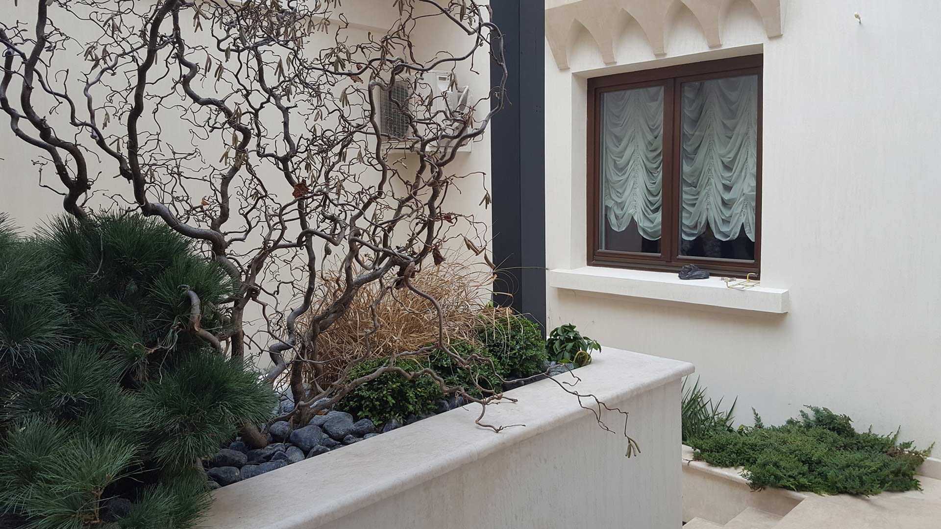 Jardiniere cu Corylus și Pinus mugo, încadrează spațiul de relaxare