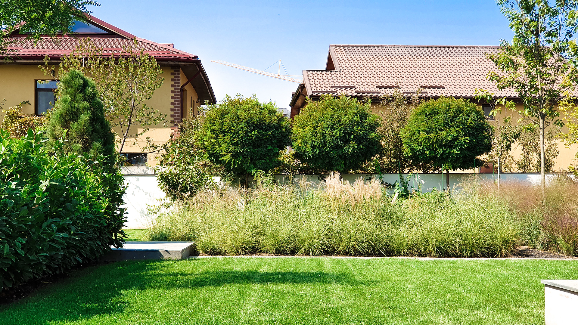 Grădină intimă în București cu ierburi ornamentale și gazon verde – design peisagistic contemporan