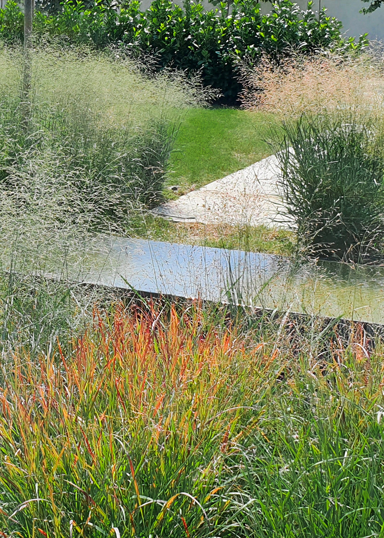 Bazin metalic reflectant înconjurat de ierburi ornamentale colorate în roșu și verde