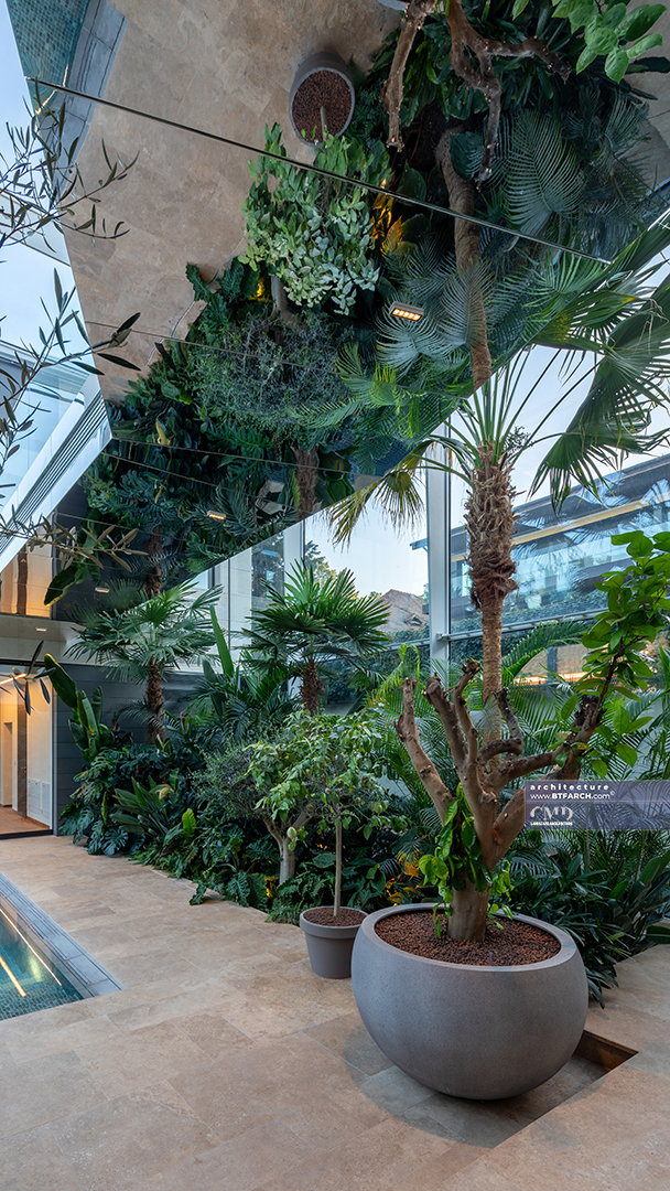 Grădină interioară cu plante mediteraneene într-un conservator modern de sticlă