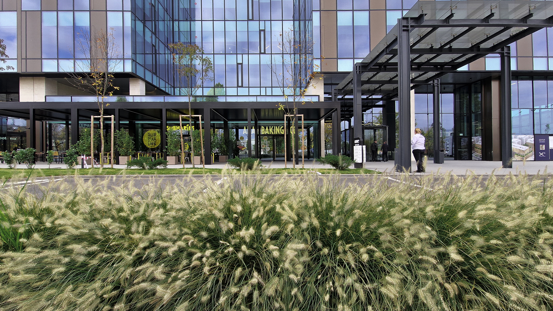 Intrarea principală în One Cotroceni Park, cu vegetație decorativă și clădire de birouri cu fațadă de sticlă.