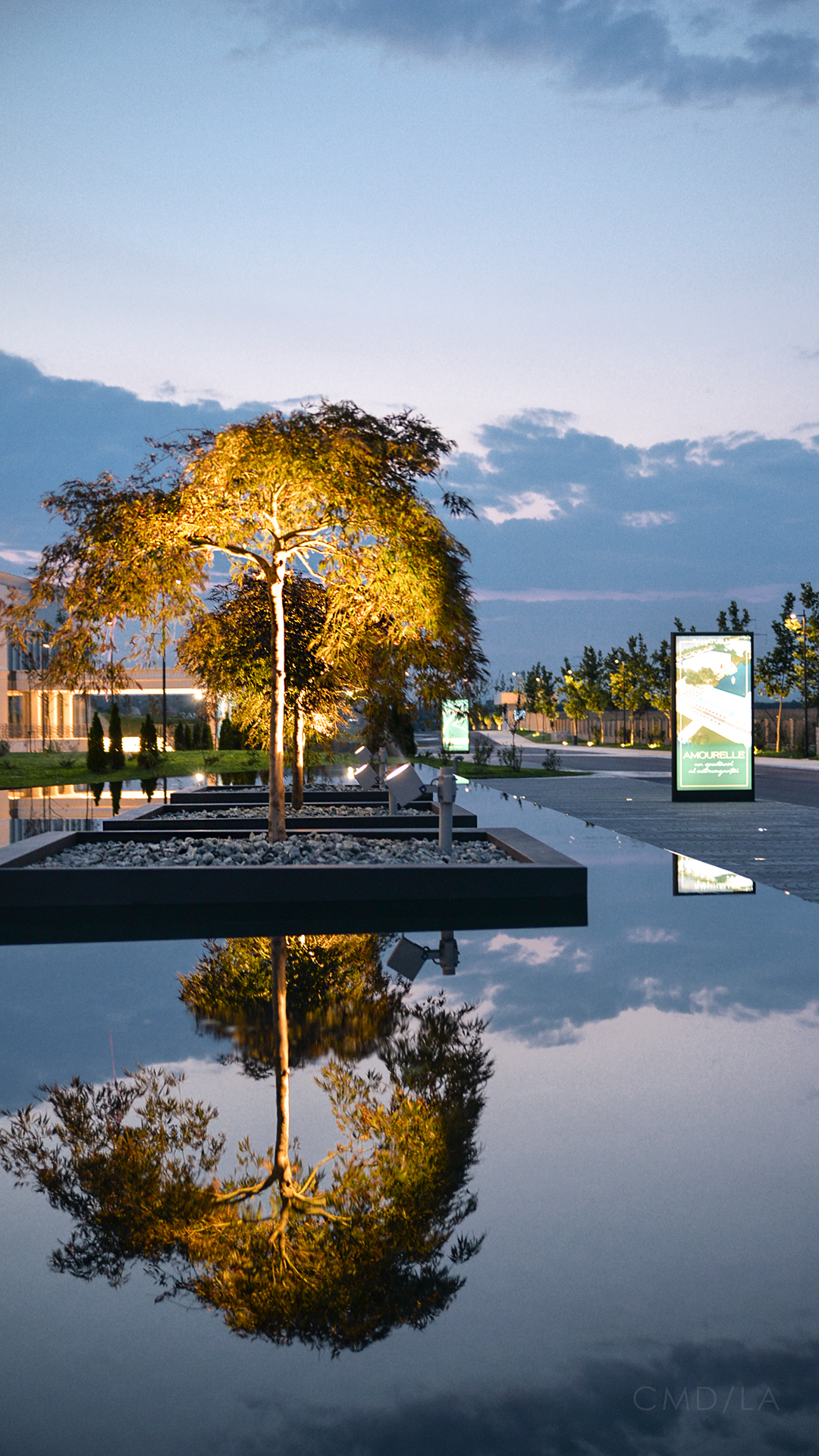 Arbore Acer palmatum iluminat, reflectat în bazin decorativ din zona de acces a parcului Ramatuelle.