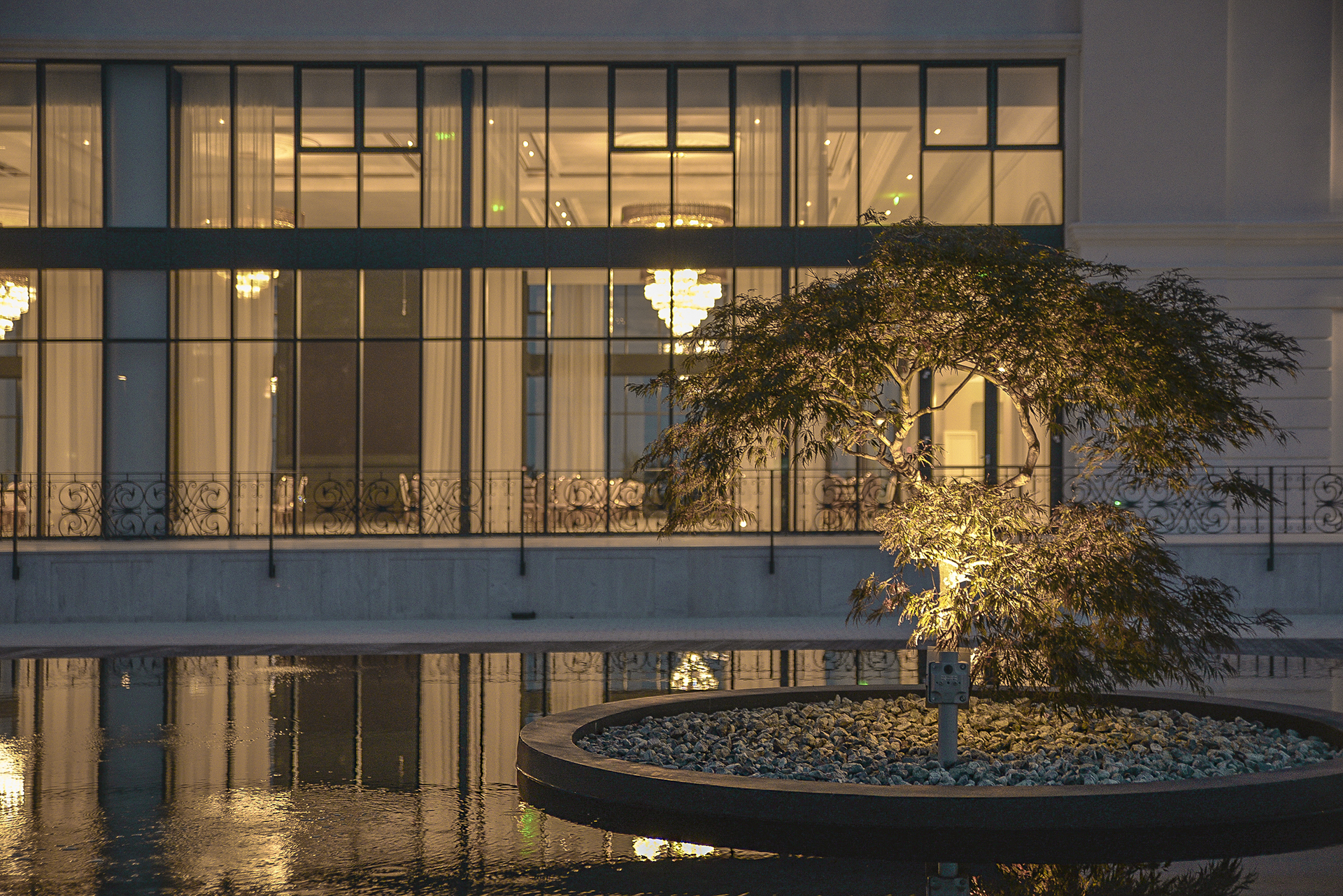 Arbore Acer iluminat noaptea, într-un bazin decorativ în fața pavilionului Nouvelle – detaliu peisagistic
